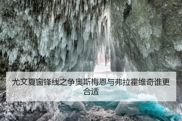 尤文夏窗锋线之争奥斯梅恩与弗拉霍维奇谁更合适