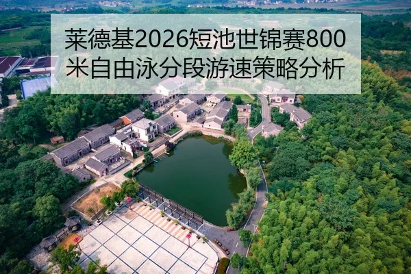 lai-de-ji-duan-chi-shi-jin-sai-mi-zi-you-yong-fen-duan-you-su-ce-lve-fen-xi-2-432.jpg