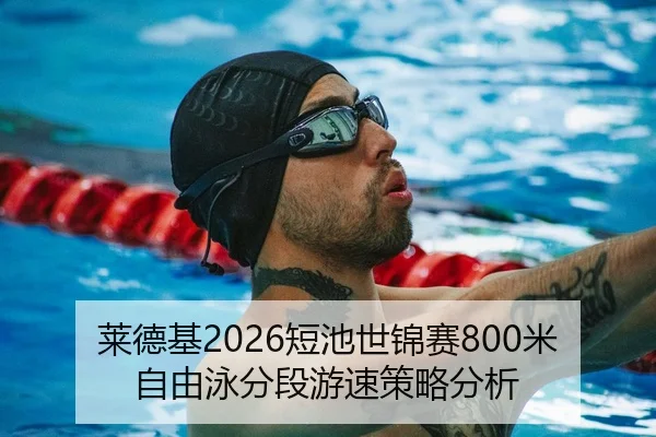莱德基2026短池世锦赛800米自由泳分段游速策略分析